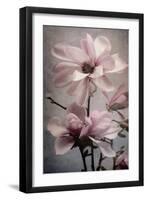 Magnolia Memories 2-Julie Greenwood-Framed Art Print