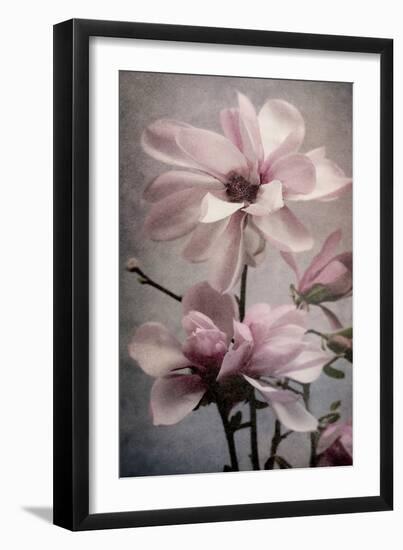 Magnolia Memories 2-Julie Greenwood-Framed Art Print