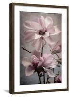 Magnolia Memories 2-Julie Greenwood-Framed Art Print