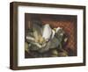 Magnolia, no. 2-null-Framed Art Print