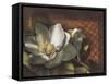 Magnolia, no. 2-null-Framed Stretched Canvas