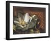 Magnolia, no. 2-null-Framed Art Print