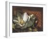 Magnolia, no. 2-null-Framed Art Print