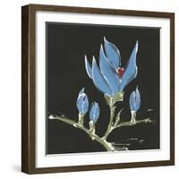 Magnolia on Black I-Chris Paschke-Framed Art Print