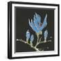 Magnolia on Black I-Chris Paschke-Framed Art Print