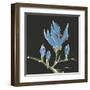 Magnolia on Black I-Chris Paschke-Framed Art Print