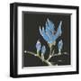 Magnolia on Black I-Chris Paschke-Framed Art Print