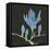 Magnolia on Black I-Chris Paschke-Framed Stretched Canvas
