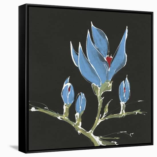 Magnolia on Black I-Chris Paschke-Framed Stretched Canvas