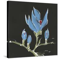 Magnolia on Black I-Chris Paschke-Stretched Canvas