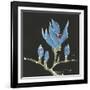 Magnolia on Black I-Chris Paschke-Framed Art Print