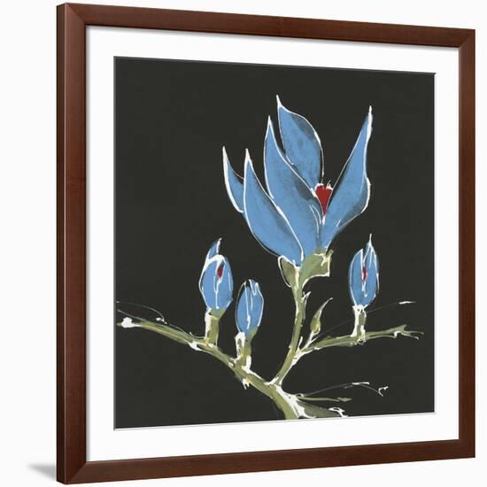 Magnolia on Black I-Chris Paschke-Framed Art Print