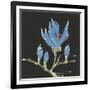 Magnolia on Black I-Chris Paschke-Framed Art Print