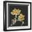 Magnolia on Black II-Chris Paschke-Framed Art Print