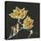 Magnolia on Black II-Chris Paschke-Stretched Canvas