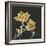 Magnolia on Black II-Chris Paschke-Framed Art Print