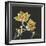 Magnolia on Black II-Chris Paschke-Framed Art Print