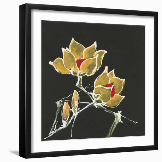 Magnolia on Black II-Chris Paschke-Framed Art Print