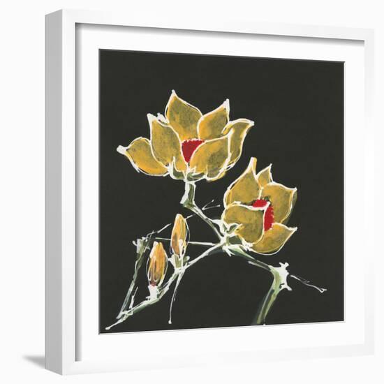 Magnolia on Black II-Chris Paschke-Framed Art Print