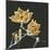 Magnolia on Black II-Chris Paschke-Mounted Art Print