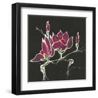 Magnolia on Black III-Chris Paschke-Framed Art Print