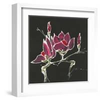 Magnolia on Black III-Chris Paschke-Framed Art Print