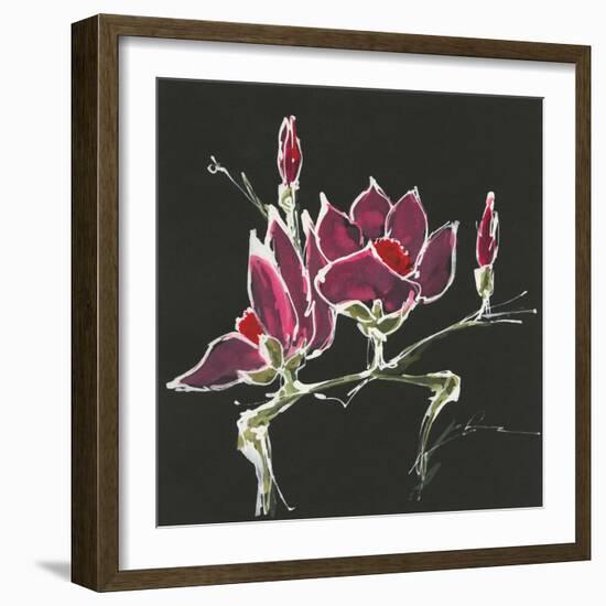 Magnolia on Black III-Chris Paschke-Framed Art Print