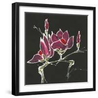 Magnolia on Black III-Chris Paschke-Framed Art Print