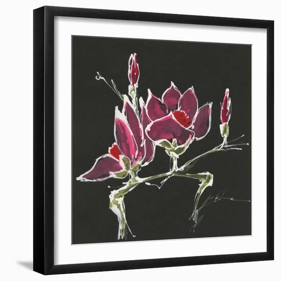 Magnolia on Black III-Chris Paschke-Framed Art Print