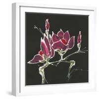 Magnolia on Black III-Chris Paschke-Framed Art Print