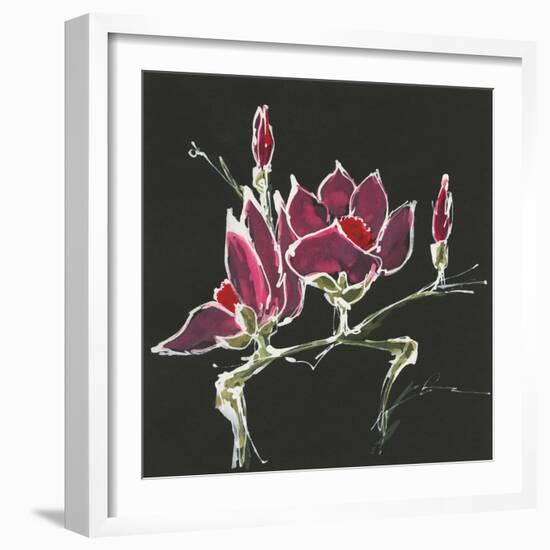 Magnolia on Black III-Chris Paschke-Framed Art Print