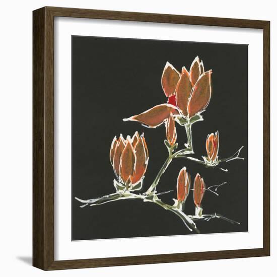 Magnolia on Black IV-Chris Paschke-Framed Art Print