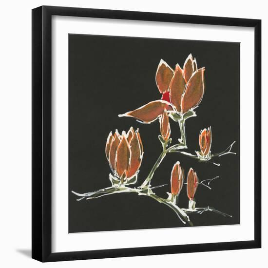 Magnolia on Black IV-Chris Paschke-Framed Art Print