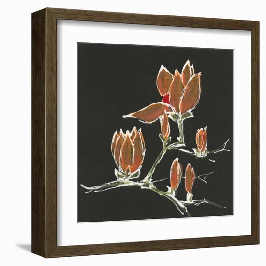 Magnolia on Black IV-Chris Paschke-Framed Art Print