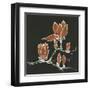 Magnolia on Black IV-Chris Paschke-Framed Art Print