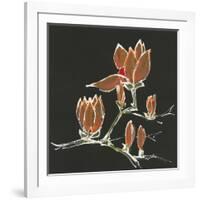 Magnolia on Black IV-Chris Paschke-Framed Art Print