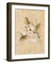 Magnolia on Cracked Linen-Cheri Blum-Framed Art Print
