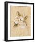 Magnolia on Cracked Linen-Cheri Blum-Framed Art Print