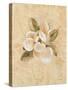 Magnolia on Cracked Linen-Cheri Blum-Stretched Canvas