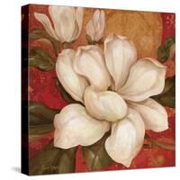 Magnolia on Red I-Pamela Gladding-Stretched Canvas