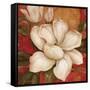 Magnolia on Red I-Pamela Gladding-Framed Stretched Canvas