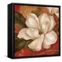 Magnolia on Red II-Pamela Gladding-Framed Stretched Canvas