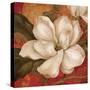 Magnolia on Red II-Pamela Gladding-Stretched Canvas