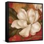 Magnolia on Red II-Pamela Gladding-Framed Stretched Canvas