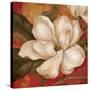 Magnolia on Red II-Pamela Gladding-Stretched Canvas