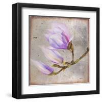 Magnolia on Silver Leaf I-Patricia Pinto-Framed Art Print