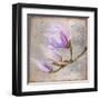 Magnolia on Silver Leaf I-Patricia Pinto-Framed Art Print