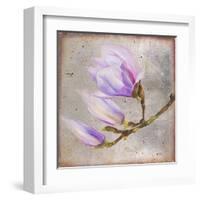 Magnolia on Silver Leaf I-Patricia Pinto-Framed Art Print