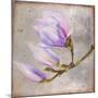 Magnolia on Silver Leaf I-Patricia Pinto-Mounted Art Print