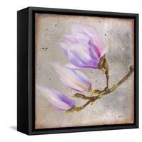 Magnolia on Silver Leaf I-Patricia Pinto-Framed Stretched Canvas